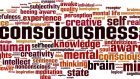 Coscienza e inconscio tra neuroscienze e cognitivismo