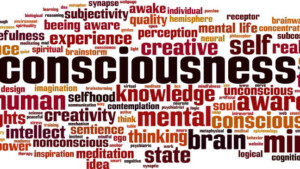 Coscienza e inconscio tra neuroscienze e cognitivismo