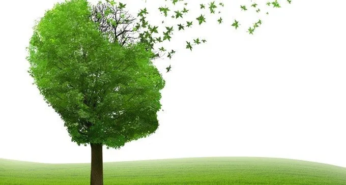 Demenza frontotemporale pre-senile l’importanza della distinzione precoce dalla psicosi e dal bipolarismo