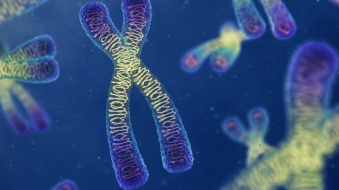 Gli effetti degli eventi avversi sul patrimonio genetico dell’individuo