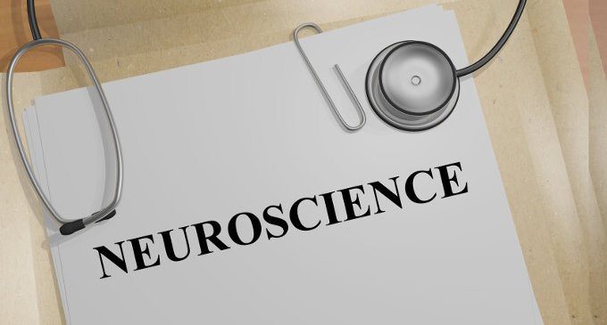 Neurolatinorum e neurodotti: chi utilizza il linguaggio delle neuroscienze per ottenere autorità scientifica