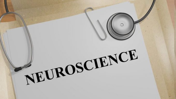 Neurolatinorum e neurodotti: chi utilizza il linguaggio delle neuroscienze per ottenere autorità scientifica