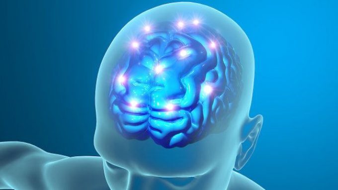 Il legame tra split brain e “coscienza divisa”: un’evidenza smentita?