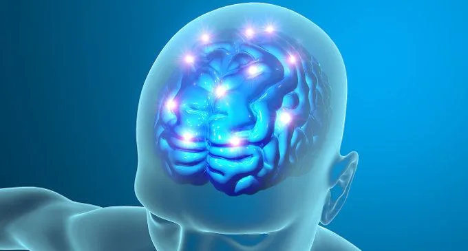 Split brain e coscienza divisa: la smentita da parte degli studi