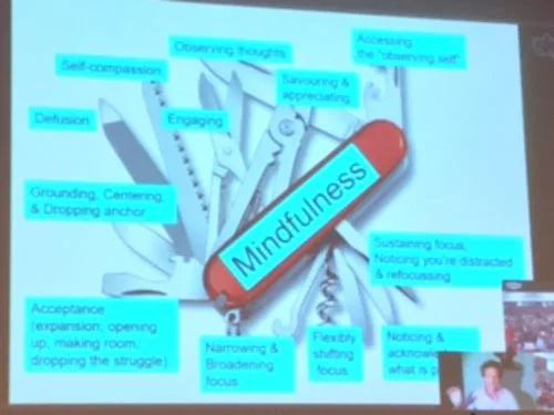 ACT e trauma l uso dell ACT nei disturbi associati ai traumi e il ruolo centrale della relazione terapeutica - Report dal congresso Mindfulness, Acceptance, Compassion 1