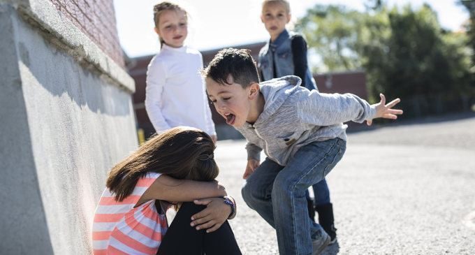 Risultati immagini per bullismo