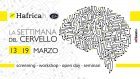 Settimana mondiale del Cervello – Bologna 13-19 Marzo