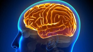 Ciò che impariamo oggi influenza i nostri apprendimenti futuri