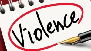 Critica all'articolo 'Indagine conoscitiva sulla violenza verso il maschile'