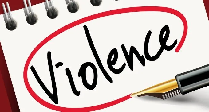 Critica all'articolo 'Indagine conoscitiva sulla violenza verso il maschile'