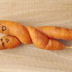 Alimentazione vegetariana e preferenze sessuali il fenomeno della vegan-sexuality