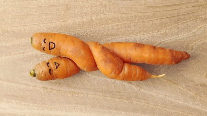 Vegan-sexuality ovvero ama come mangi: processi cognitivi e preferenze sessuali di chi sceglie un’ alimentazione vegetariana