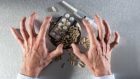 Craving e sostanza: cos’è il craving e i possibili approcci terapeutici