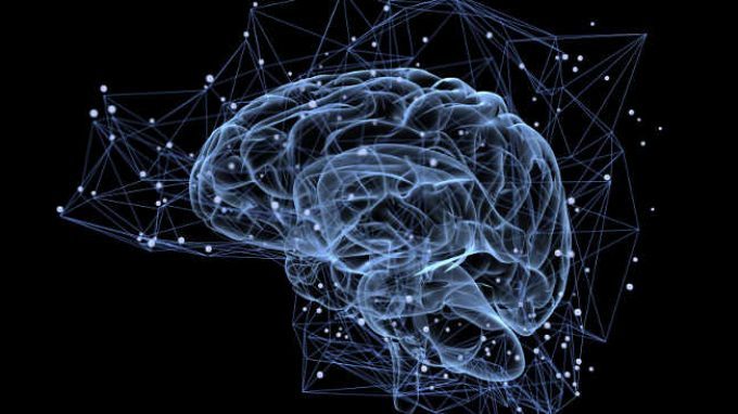 Tecnologia organoide: un nuovo metodo per il rilevamento di malfunzionamenti cerebrali. Lo studio degli organoidi cerebrali