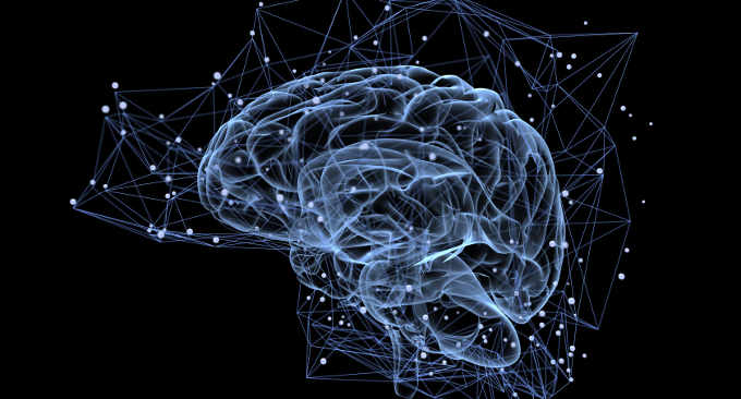 Tecnologia organoide come rilevare i malfunzionamenti cerebrali