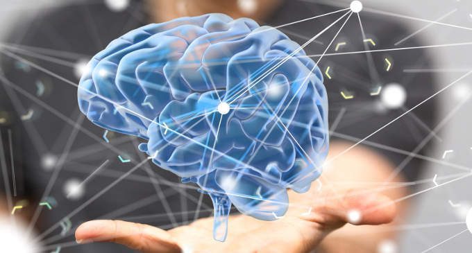Un enzima metabolico capace di influenzare i ricordi
