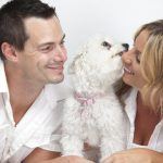 Soddisfazione coniugale: ritrovare la passione di coppia grazie a immagini di cuccioli