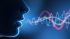 Recupero afasico e speech therapy: la correlazione con la plasticità strutturale della via ventrale