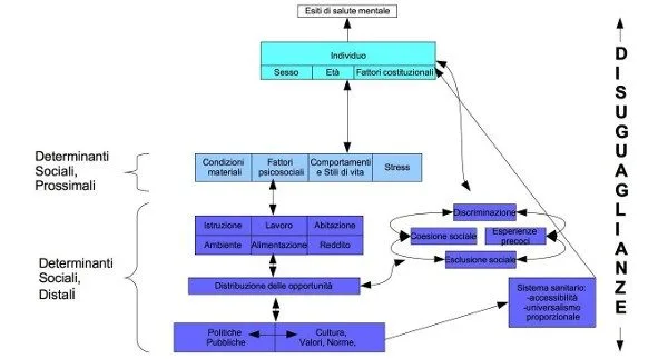 Salute mentale: oltre i fattori di rischio individuali, il ruolo dei determinanti sociali-grafico