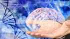 Una tecnica optogenetica in grado di modificare il comportamento animale