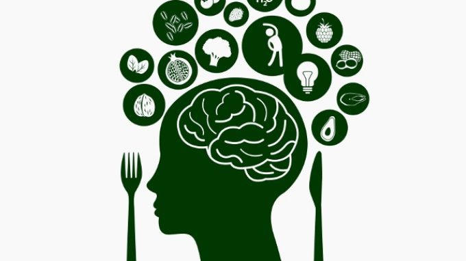 Il cervello comunica al nostro corpo come bruciare grassi dopo un pasto