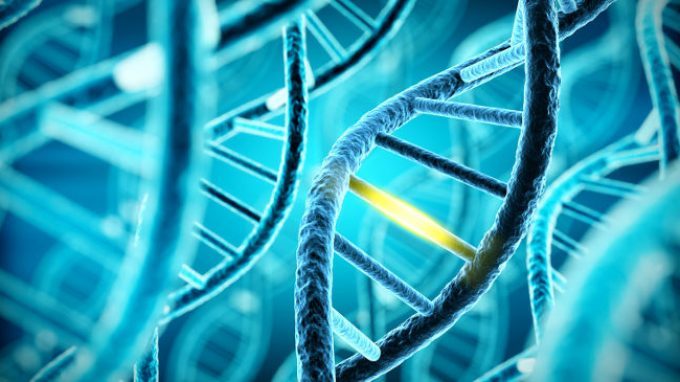 Nuove mutazioni genetiche inciderebbero sull’autismo
