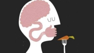 Disturbi della Nutrizione e dell’Alimentazione uno sguardo neurobiologico - Report