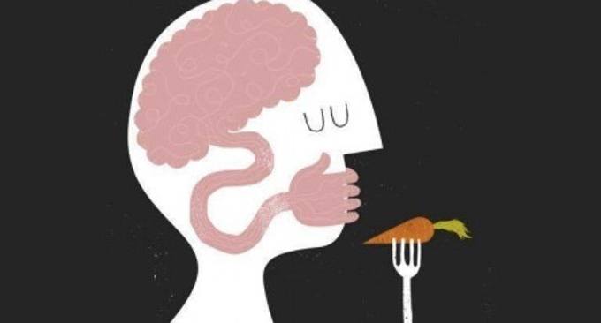 Disturbi della Nutrizione e dell’Alimentazione uno sguardo neurobiologico - Report