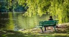 Vivere nei pressi di uno spazio verde migliora la qualità della vita