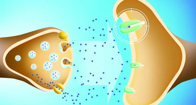 Neurotrasmettitori cosa sono,le funzioni e le diverse tipologie