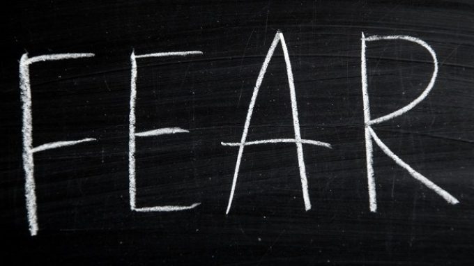 Nuove scoperte sull’ apprendimento della paura a livello cerebrale