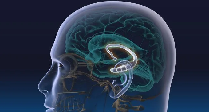 Il cervello può sopprimere pensieri intrusivi e memorie spontanee