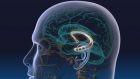 Il cervello ci protegge dai brutti ricordi e pensieri