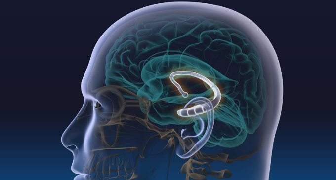 Il cervello ci protegge dai brutti ricordi e pensieri