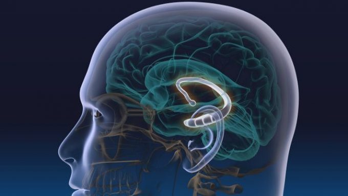 Il cervello ci protegge dai brutti ricordi e pensieri