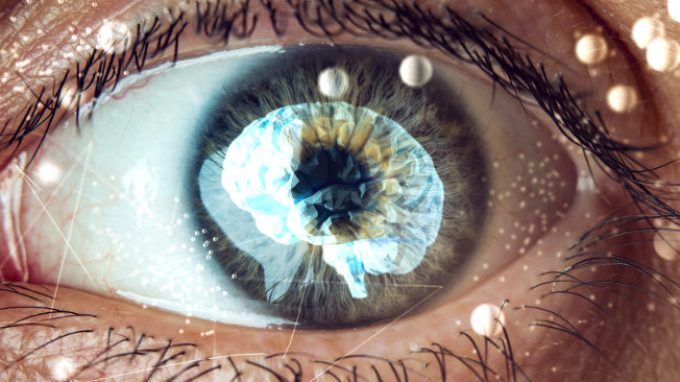Il ruolo svolto dal cervello nell’apprendimento di immagini durante lo sviluppo