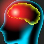Lobi frontali, corteccia frontale e corteccia prefrontale- Introduzione alla psicologia