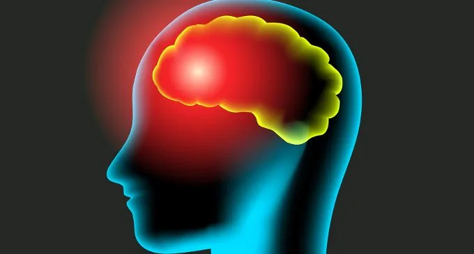 Lobi frontali, corteccia frontale e corteccia prefrontale- Introduzione alla psicologia