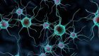 Una nuova scoperta sui meccanismi di morte cellulare nelle malattie neurodegenerative