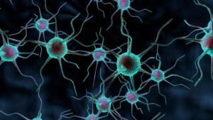 Malattie neurodegenerative: una nuova scoperta sui meccanismi di morte cellulare