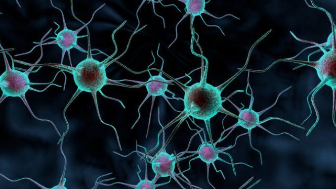 Una nuova scoperta sui meccanismi di morte cellulare nelle malattie neurodegenerative