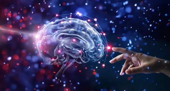 Neuroplasticit&agrave;: la capacit&agrave; del cervello di modificarsi in base alle esperienze