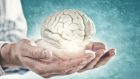 Il futuro della ricerca: modelli cerebrali 3D per studiare il sistema nervoso e sviluppare delle cure per le malattie neurologiche