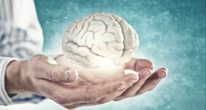 Utilizzo di modelli cerebrali 3D per curare lesioni cerebrali e malattie neurologiche