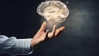 L’area cerebrale dell’abenula e il comportamento sociale