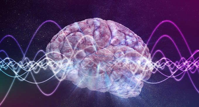 Tra von Neuman e Turing: verso la complessità computazionale. Le coordinate scientifiche di una visione materialistica delle basi naturali del pensiero