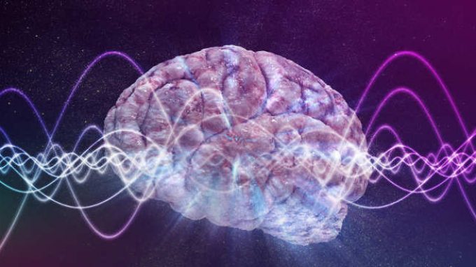 Tra von Neuman e Turing: verso la complessità computazionale. Le coordinate scientifiche di una visione materialistica delle basi naturali del pensiero