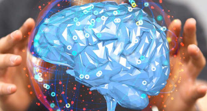 Nuove cellule staminali sono state trovate nel cervello degli adulti