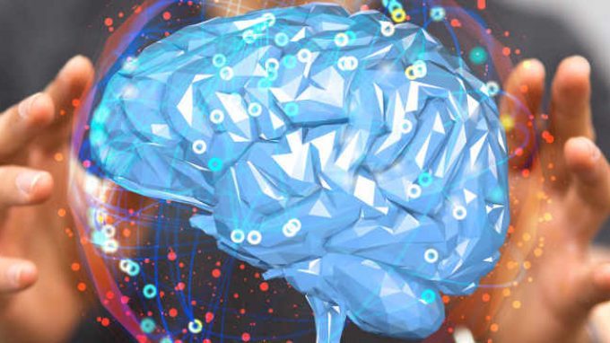 Nuove cellule staminali sono state trovate nel cervello degli adulti