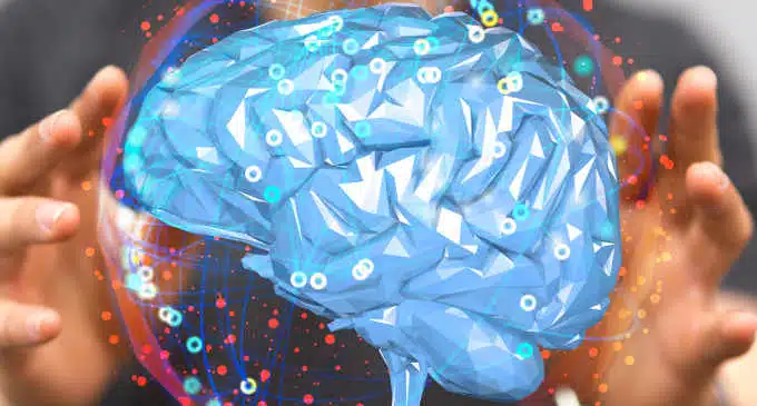 Cellule staminali: come si formano nel cervello degli adulti